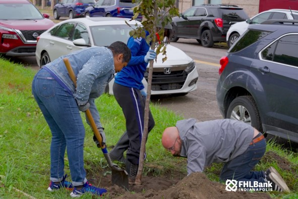 Greening of Detroit: 2024 tree planting project